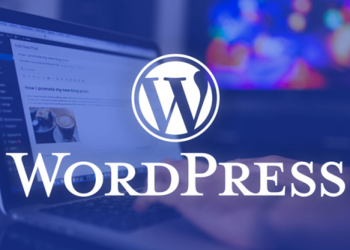 Chia sẻ danh sách theme wordpress và plugin bản quyền